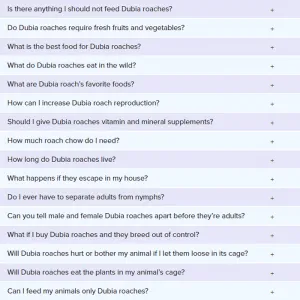 杜比亚蟑螂常见问题解答