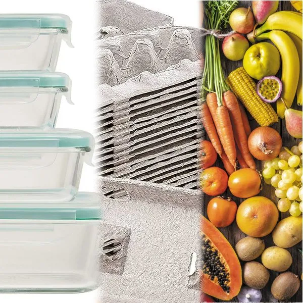 如何保存和储存杜比亚蟑螂喂食器