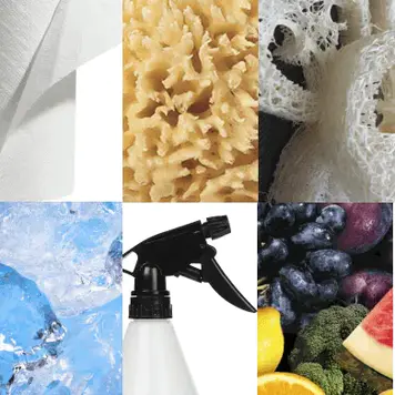 杜比亚蟑螂补水指南