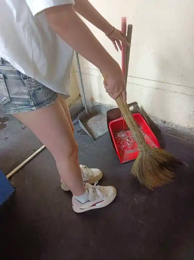 如何照顾皮蠹甲虫清洁队